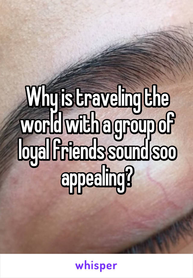 Why is traveling the world with a group of loyal friends sound soo appealing?