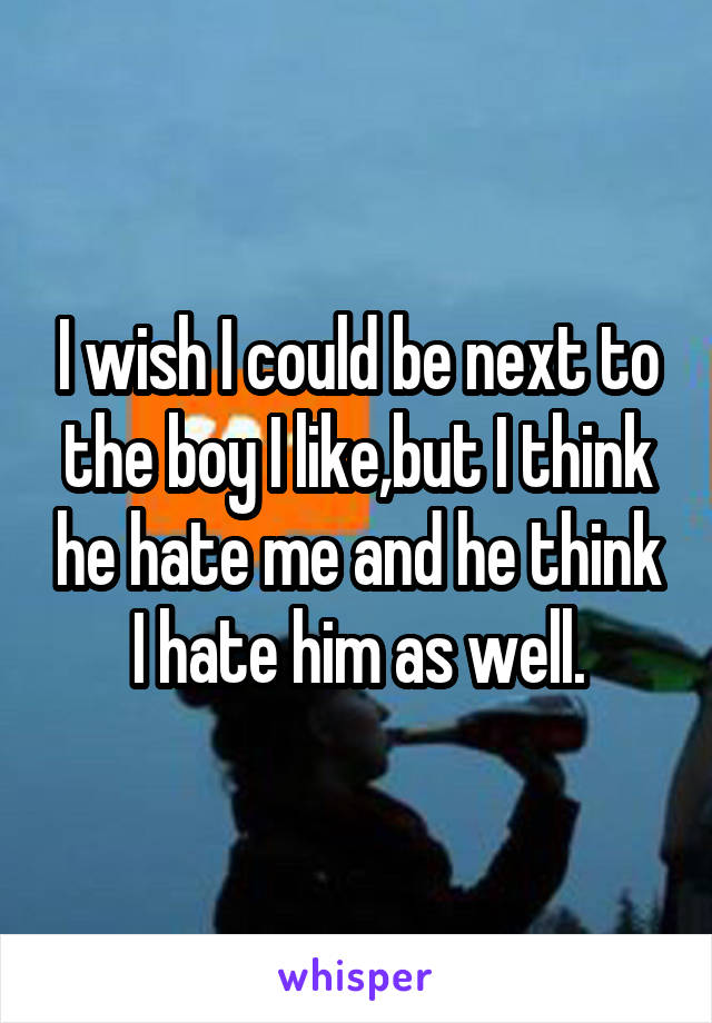 I wish I could be next to the boy I like,but I think he hate me and he think I hate him as well.