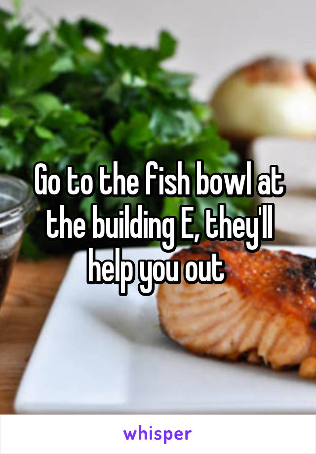 Go to the fish bowl at the building E, they'll help you out 