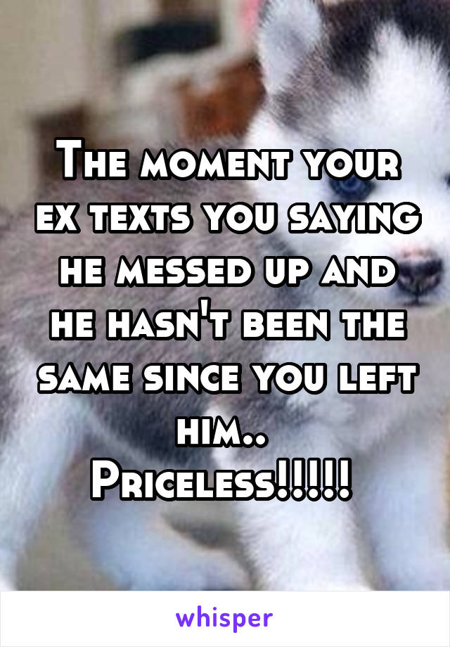 The moment your ex texts you saying he messed up and he hasn't been the same since you left him.. 
Priceless!!!!! 