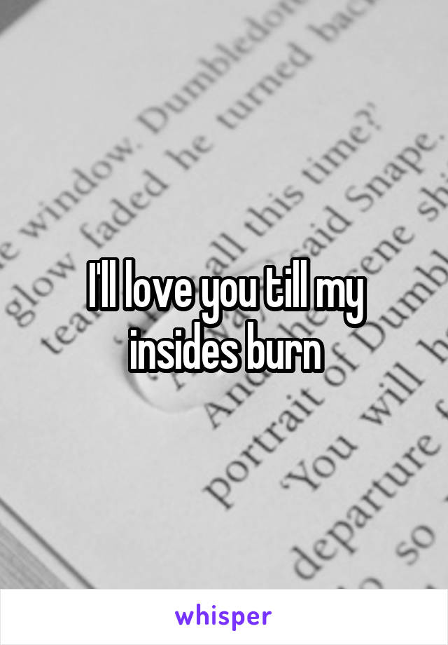 I'll love you till my insides burn