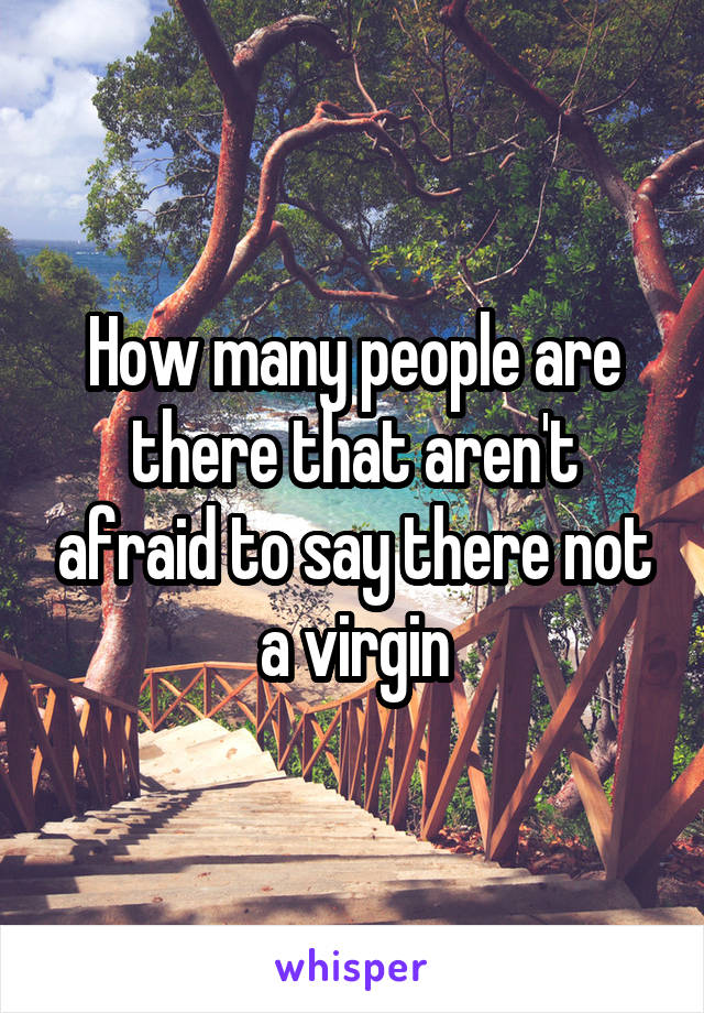 How many people are there that aren't afraid to say there not a virgin