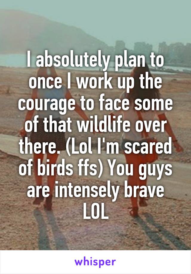 I absolutely plan to once I work up the courage to face some of that wildlife over there. (Lol I'm scared of birds ffs) You guys are intensely brave LOL