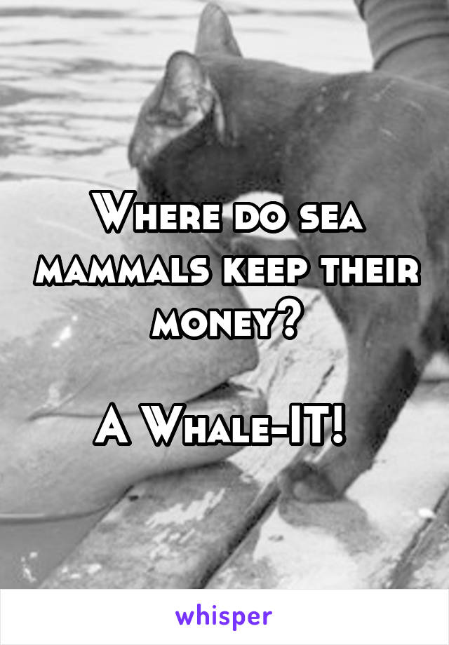 Where do sea mammals keep their money?

A Whale-IT! 