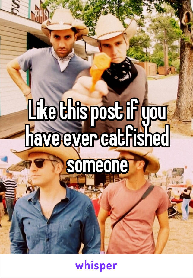 Like this post if you have ever catfished someone