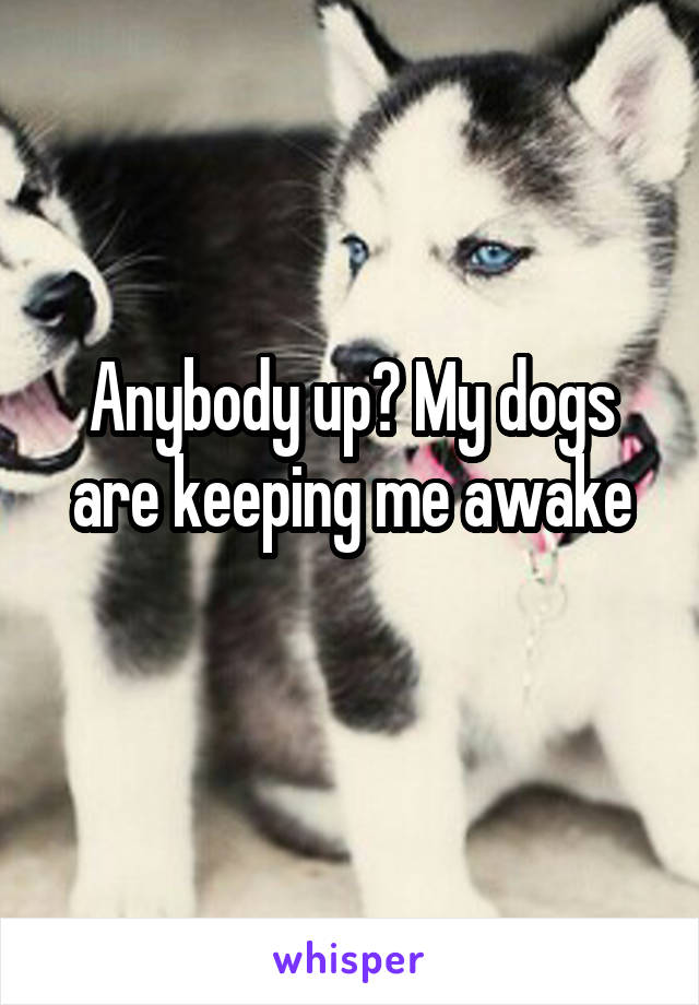 Anybody up? My dogs are keeping me awake
