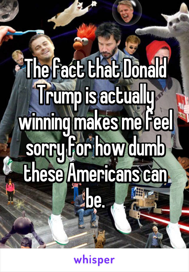 The fact that Donald Trump is actually winning makes me feel sorry for how dumb these Americans can be.