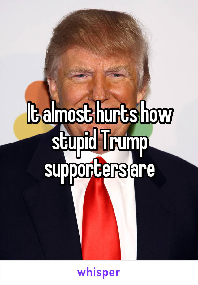 It almost hurts how stupid Trump supporters are