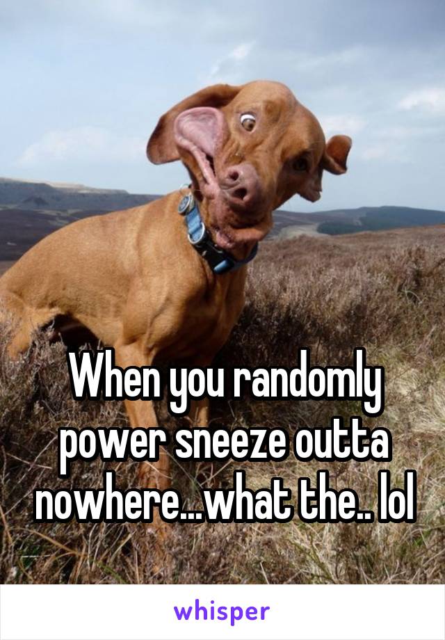 




When you randomly power sneeze outta nowhere...what the.. lol
