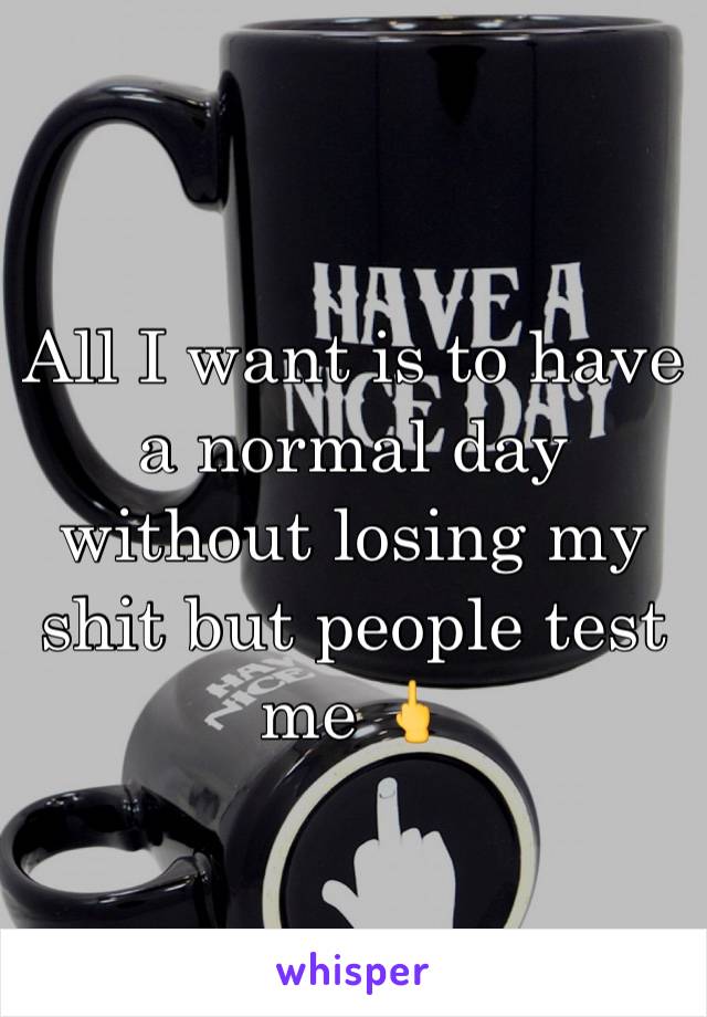 All I want is to have a normal day without losing my shit but people test me 🖕