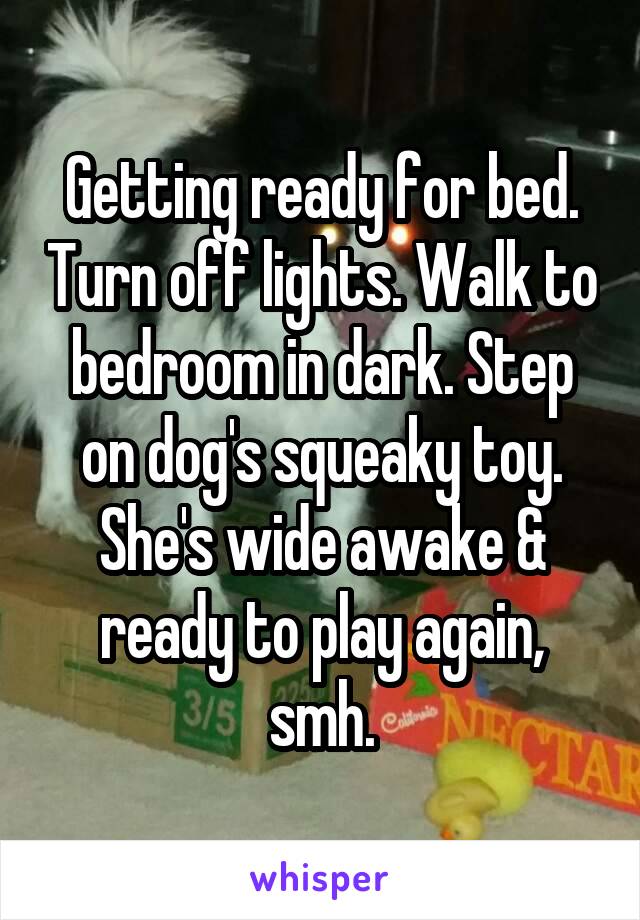 Getting ready for bed. Turn off lights. Walk to bedroom in dark. Step on dog's squeaky toy. She's wide awake & ready to play again, smh.