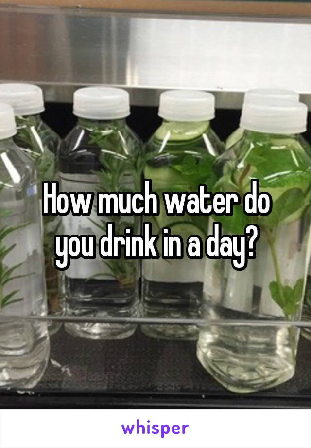 How much water do you drink in a day?