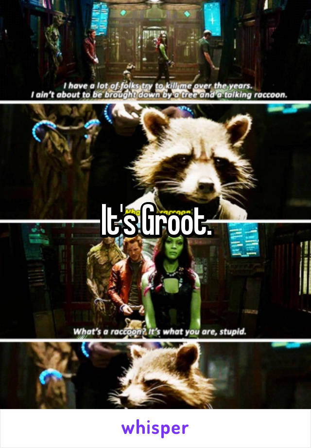 It's Groot.