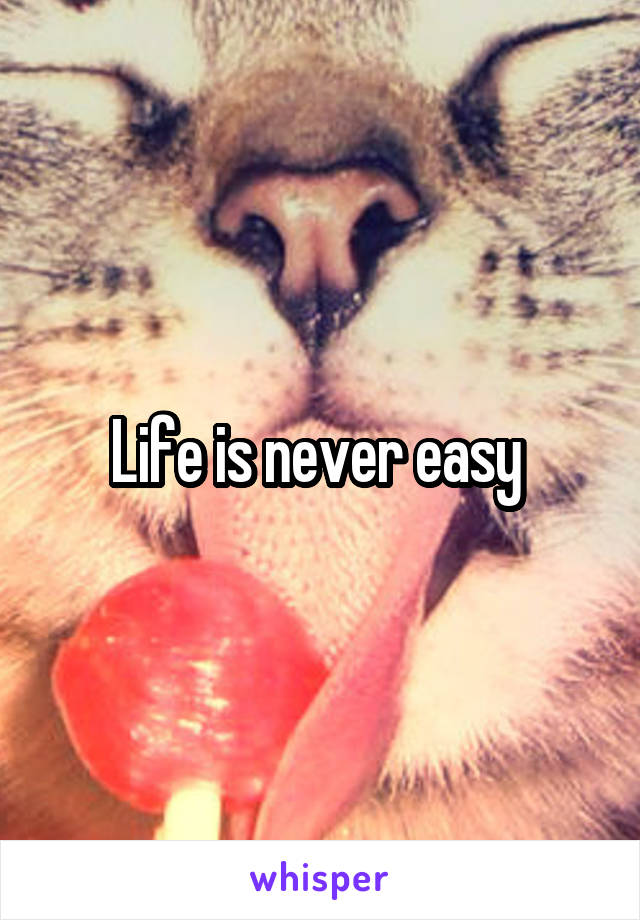 Life is never easy 