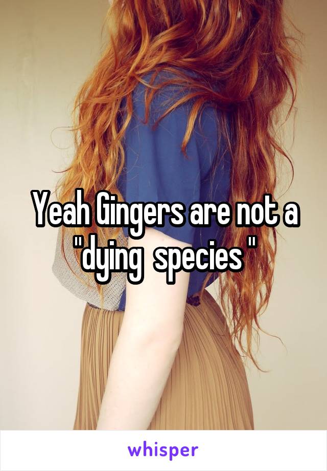 Yeah Gingers are not a "dying  species "