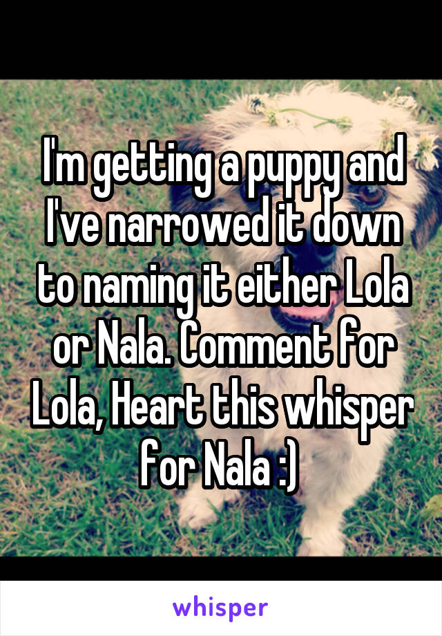 I'm getting a puppy and I've narrowed it down to naming it either Lola or Nala. Comment for Lola, Heart this whisper for Nala :) 