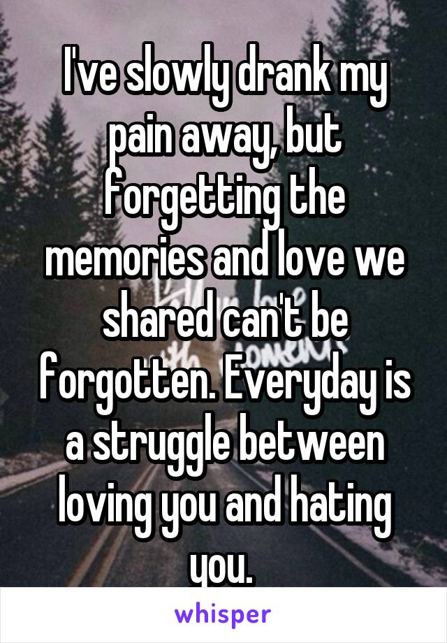 I've slowly drank my pain away, but forgetting the memories and love we shared can't be forgotten. Everyday is a struggle between loving you and hating you. 