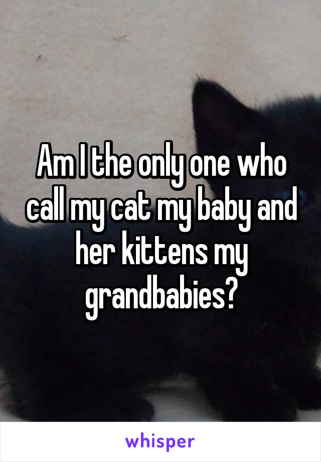 Am I the only one who call my cat my baby and her kittens my grandbabies?