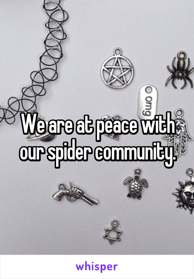 We are at peace with our spider community.