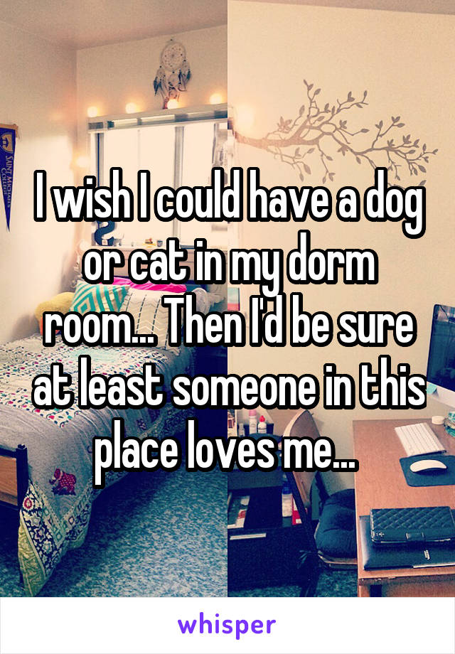 I wish I could have a dog or cat in my dorm room... Then I'd be sure at least someone in this place loves me... 