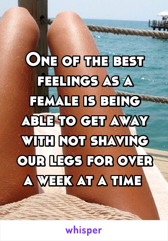 One of the best feelings as a female is being able to get away with not shaving our legs for over a week at a time 