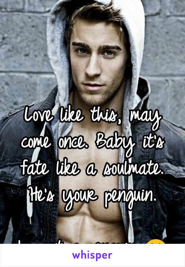 Love like this, may come once. Baby it's fate like a soulmate. He's your penguin.

I want a penguin 😁