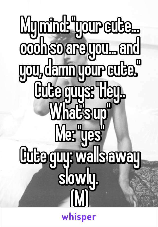 My mind: "your cute... oooh so are you... and you, damn your cute."
Cute guys: "Hey.. What's up"
Me: "yes"
Cute guy: walls away slowly. 
(M)