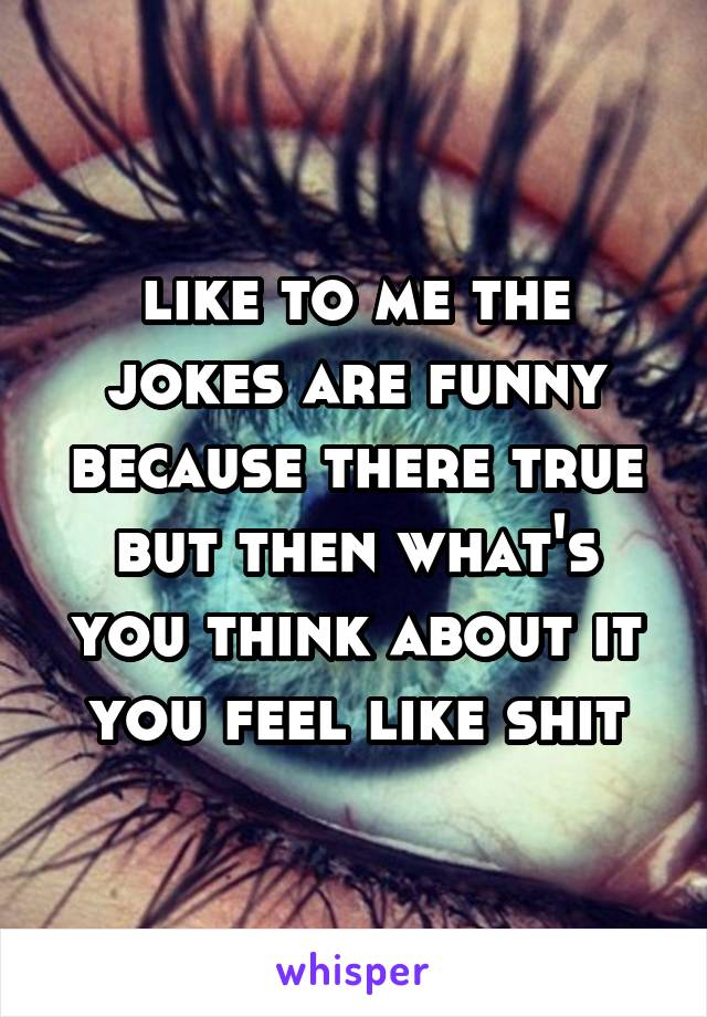 like to me the jokes are funny because there true but then what's you think about it you feel like shit