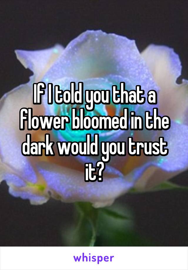 If I told you that a flower bloomed in the dark would you trust it?