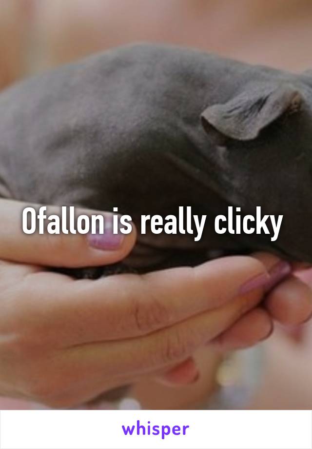 Ofallon is really clicky 