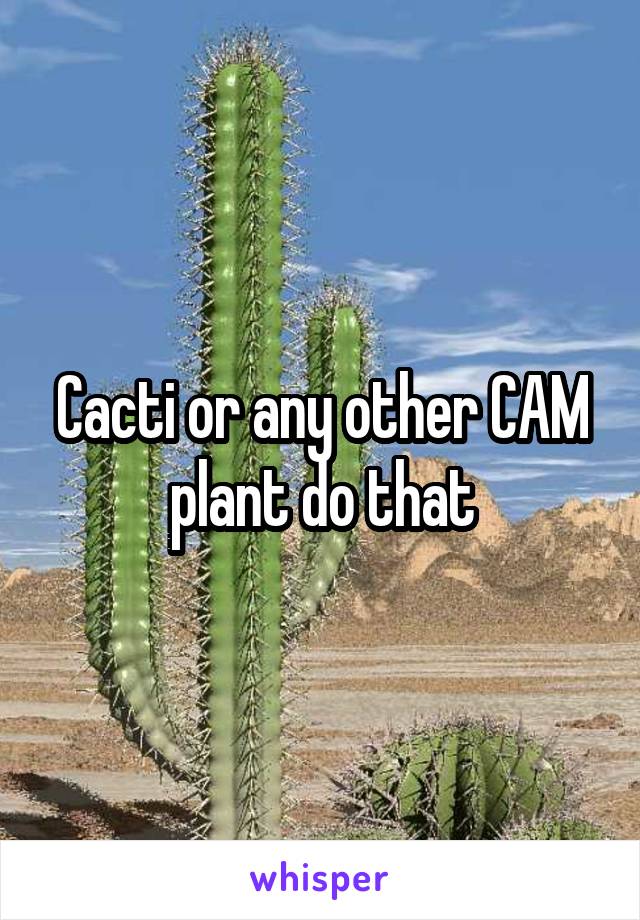 Cacti or any other CAM plant do that