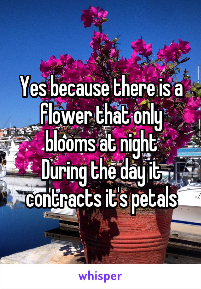 Yes because there is a flower that only blooms at night
During the day it contracts it's petals