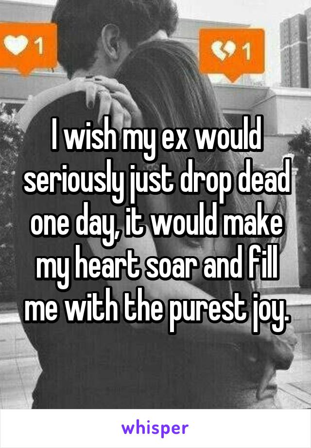 I wish my ex would seriously just drop dead one day, it would make my heart soar and fill me with the purest joy.