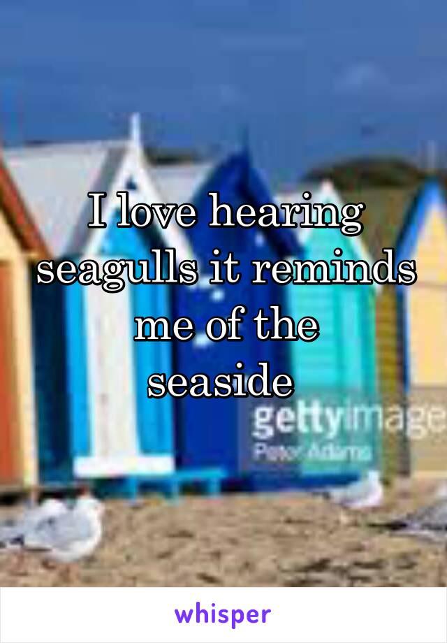 I love hearing seagulls it reminds
 me of the 
seaside 
