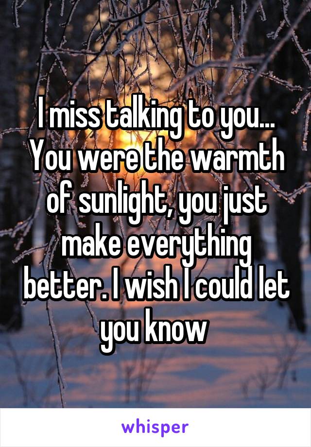 I miss talking to you... You were the warmth of sunlight, you just make everything better. I wish I could let you know 