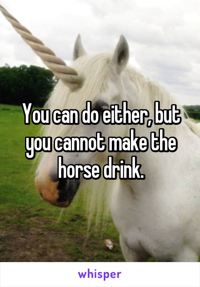 You can do either, but you cannot make the horse drink.