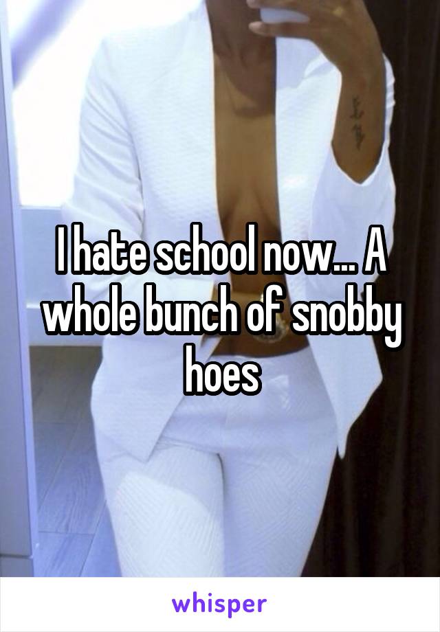 I hate school now... A whole bunch of snobby hoes