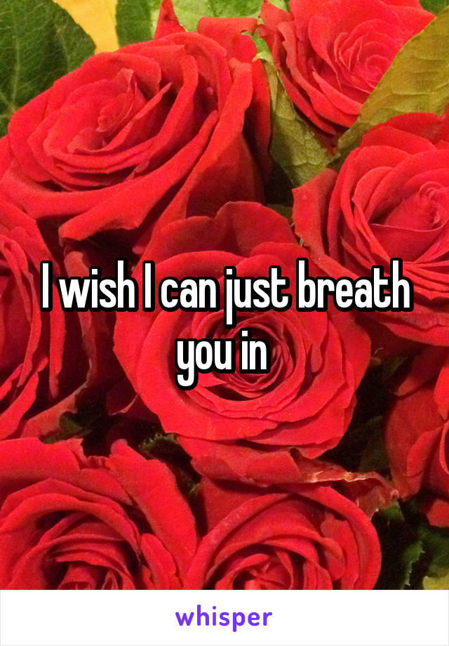 I wish I can just breath you in 