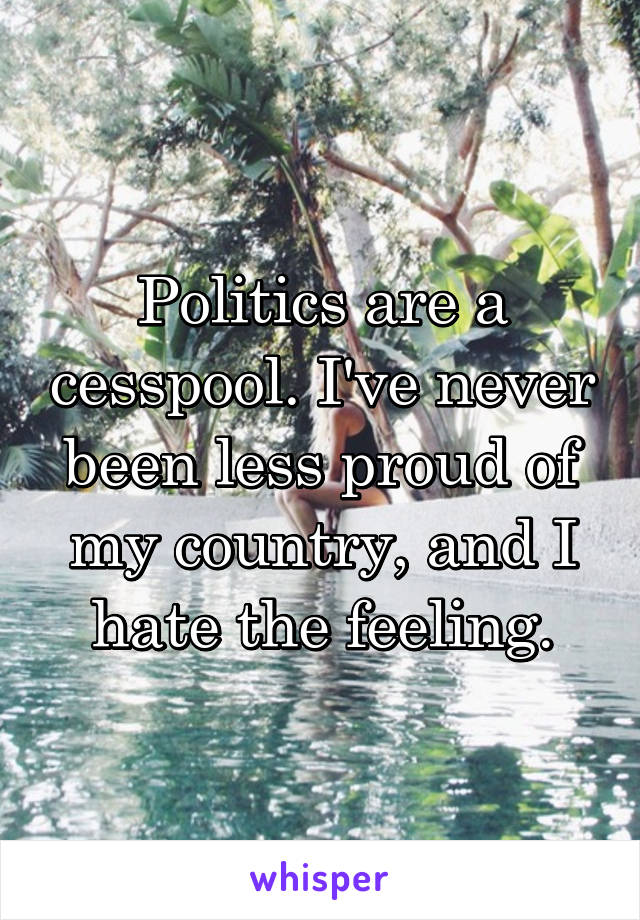 Politics are a cesspool. I've never been less proud of my country, and I hate the feeling.