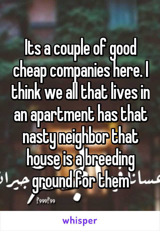 Its a couple of good cheap companies here. I think we all that lives in an apartment has that nasty neighbor that house is a breeding ground for them