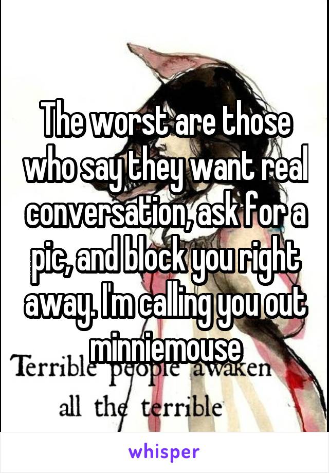 The worst are those who say they want real conversation, ask for a pic, and block you right away. I'm calling you out minniemouse