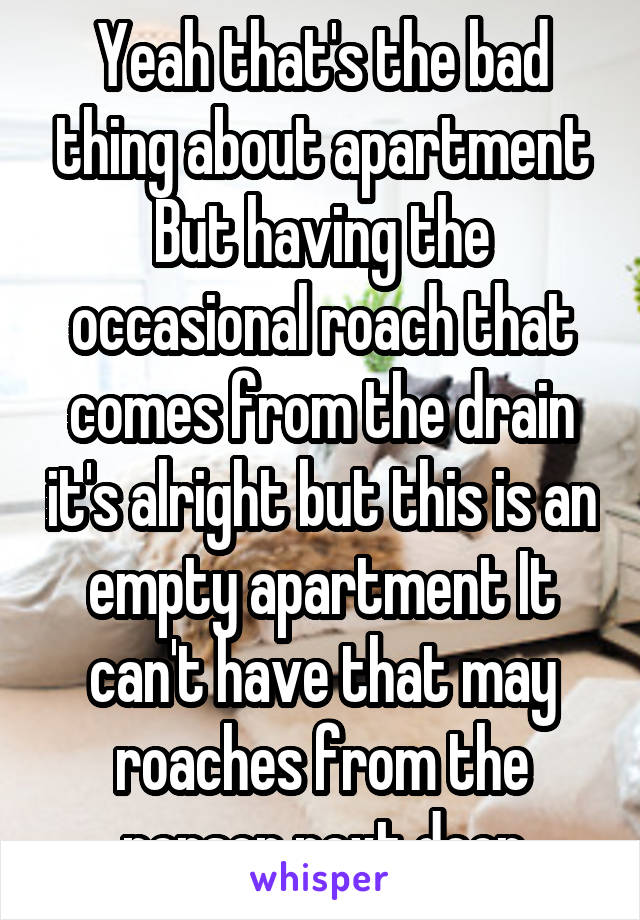 Yeah that's the bad thing about apartment But having the occasional roach that comes from the drain it's alright but this is an empty apartment It can't have that may roaches from the person next door