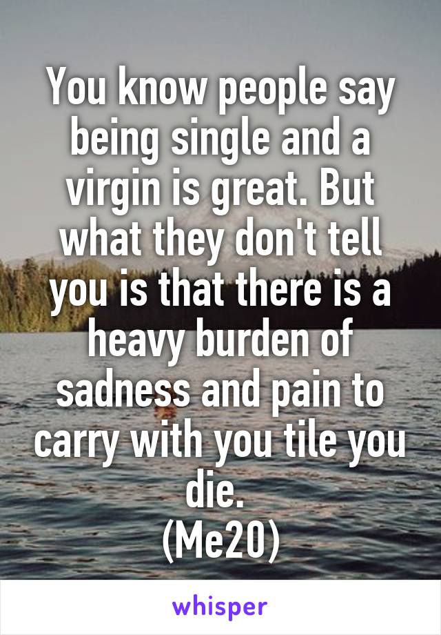 You know people say being single and a virgin is great. But what they don't tell you is that there is a heavy burden of sadness and pain to carry with you tile you die. 
(Me20)