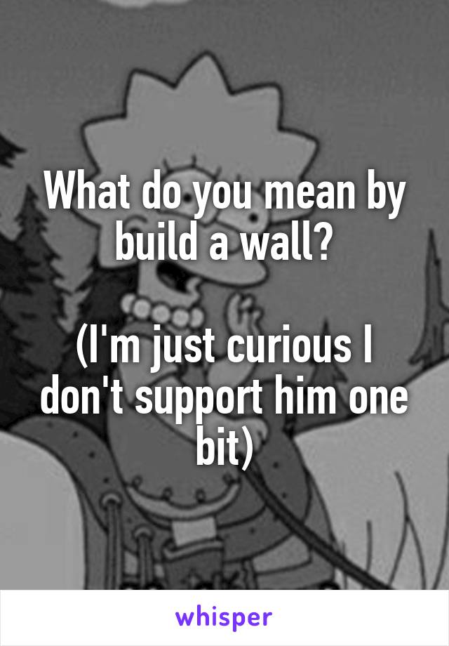 What do you mean by build a wall?

(I'm just curious I don't support him one bit)