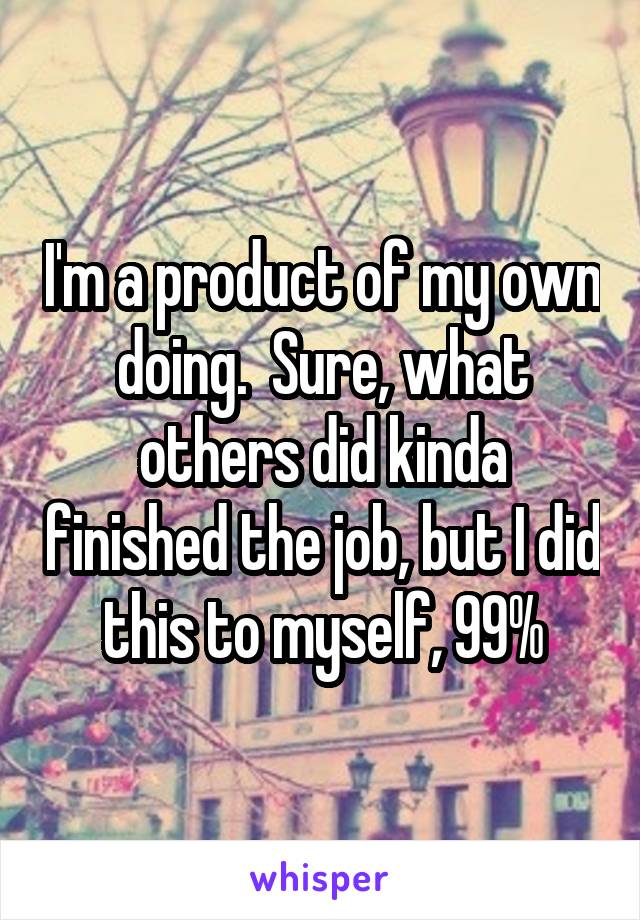 I'm a product of my own doing.  Sure, what others did kinda finished the job, but I did this to myself, 99%