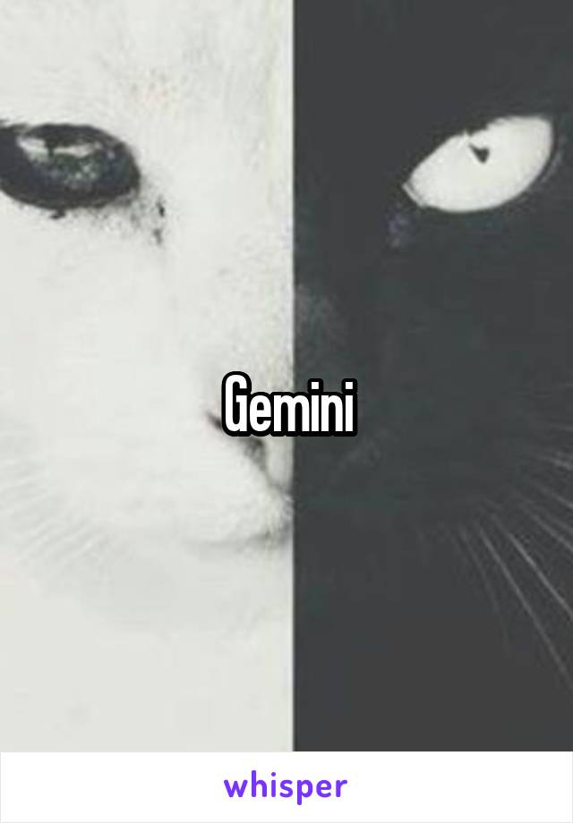 Gemini