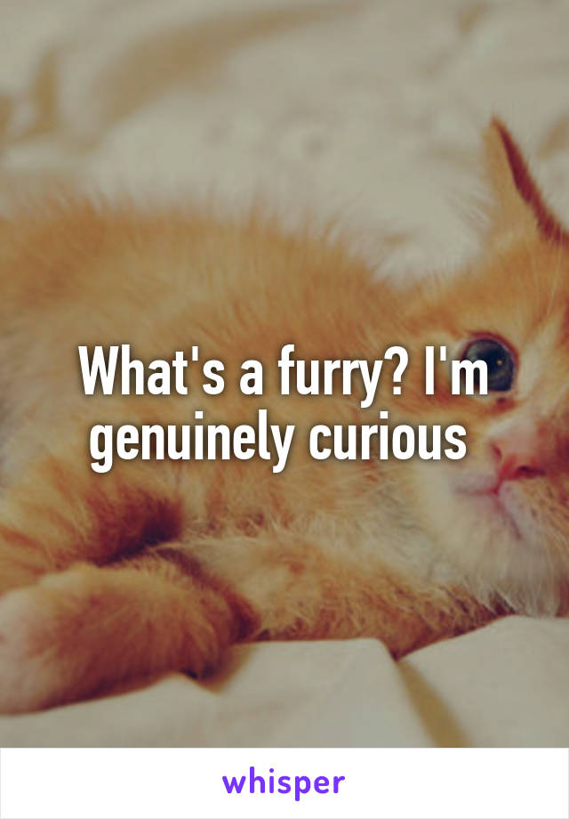 What's a furry? I'm genuinely curious 