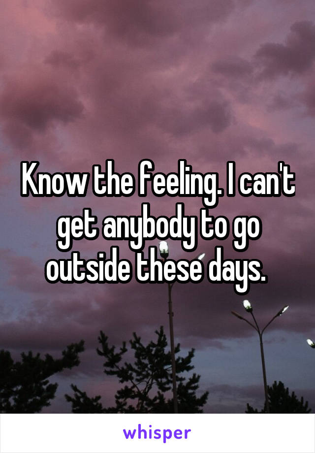 Know the feeling. I can't get anybody to go outside these days. 