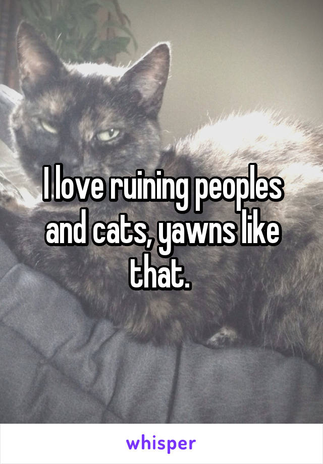 I love ruining peoples and cats, yawns like that. 