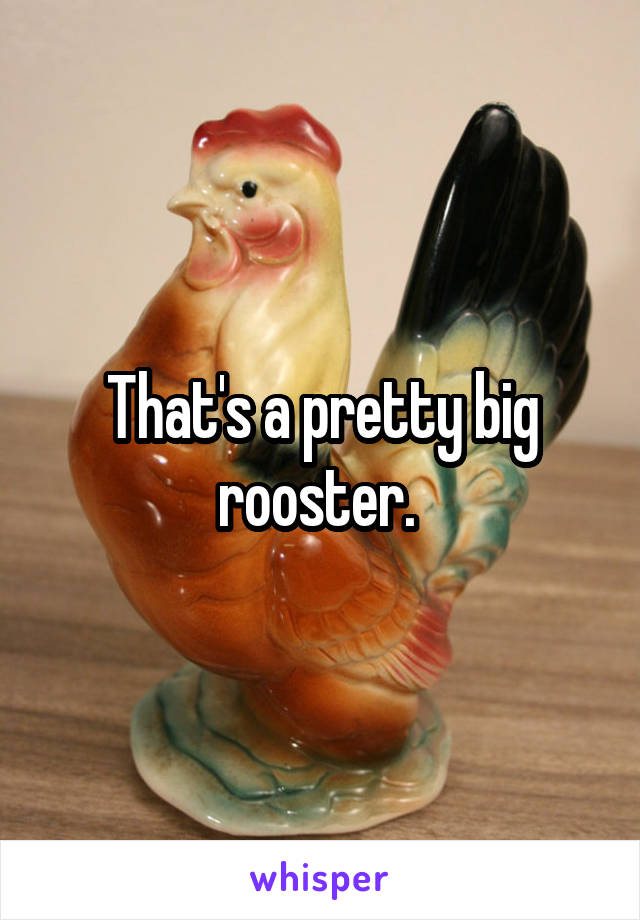 That's a pretty big rooster. 